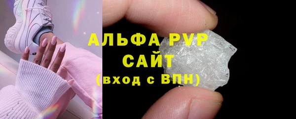 прущие грибы Бугульма
