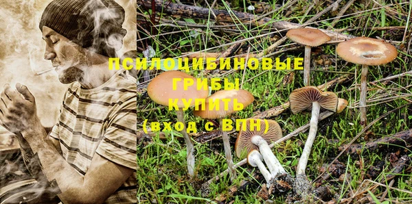 кокаин перу Бородино